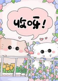 变猫后我终于红了