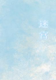 迷宫言情