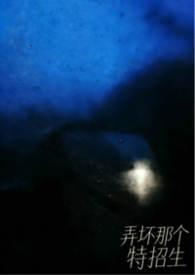 弄坏的坏