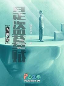 我是盗墓贼