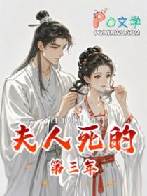 夫人死的第三年讲的什么