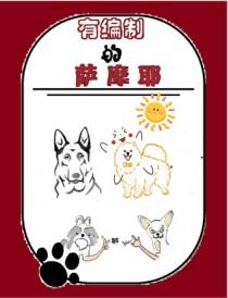 萨摩耶犬有多聪明