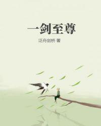 一剑至尊赵武免费阅读