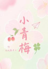 小青梅abotxt