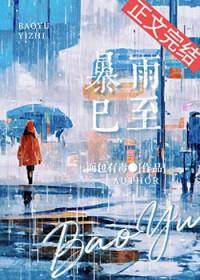 暴雨已至无错版