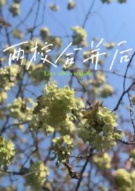 两校合并后校长怎么办