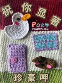 祝你显著by珍豪笔趣阁免费阅读完结版