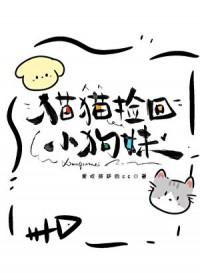 捡到猫狗有啥预示