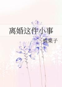 离婚这件小事晋江