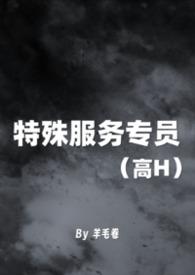 特殊服务指的是哪些内容