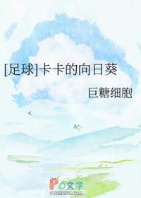 卡卡的足球竞技