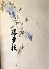 藤萝为枝新书
