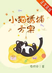怎么诱小猫出来