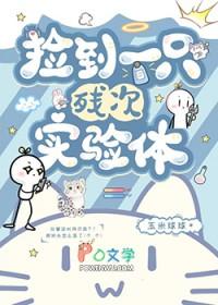 捡到一只残疾狗好不好