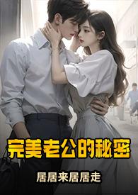 完美老公的秘密by居居来居居去讲的什么