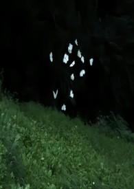 eraqueena·兄妹骨科