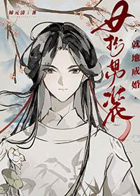 女扮男装娶妻的