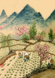 重生年代文的路人甲TXT