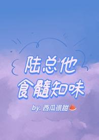 陆总他食髓知味苏冉完整版
