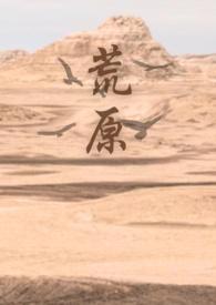 荒原讲的是什么